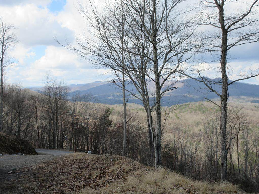 Lot 50 Buck Ridge Dr. - Photo 1