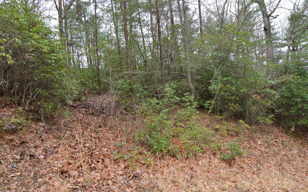 Lot 14 Cook Mtn Estates - Photo 1
