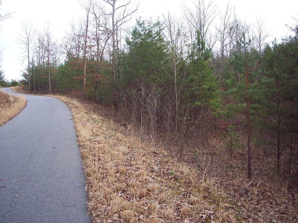 Lot 14 Grizzly Circle - Photo 1