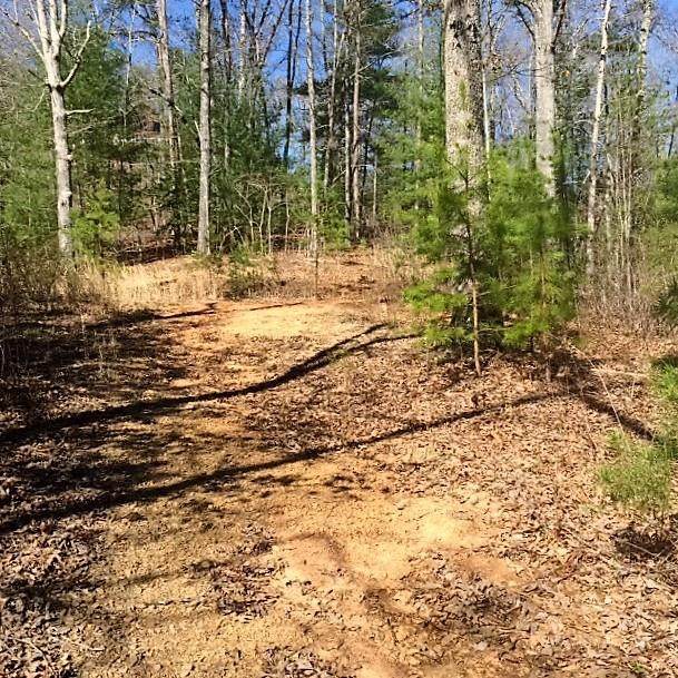 Lot 45 Sierra Circle - Photo 1