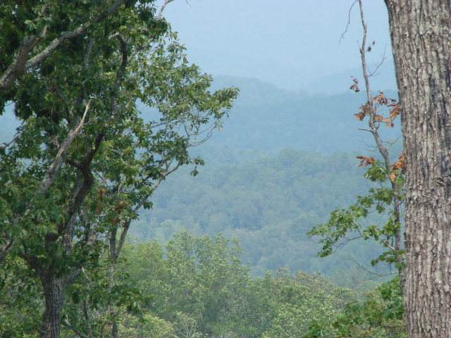 Lot 46 Hideaway Hills - Photo 1