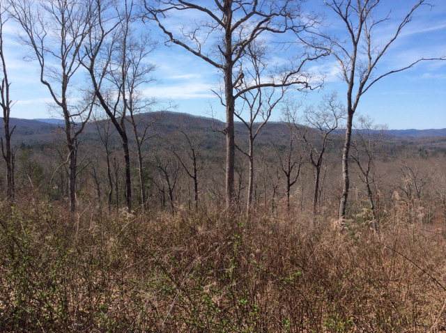 Lot 38 Paw Paw - Photo 1