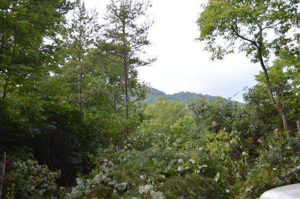 97.2 Pine Log Church Road - Photo 1