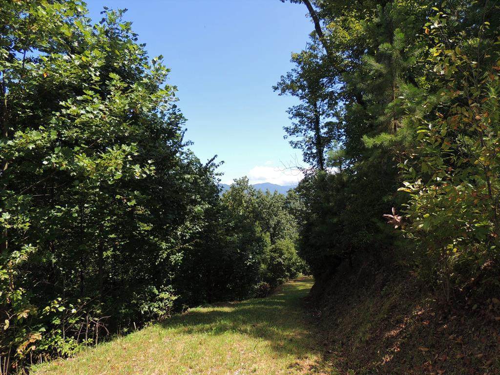 Lot 43 Valley River Walk - Photo 1