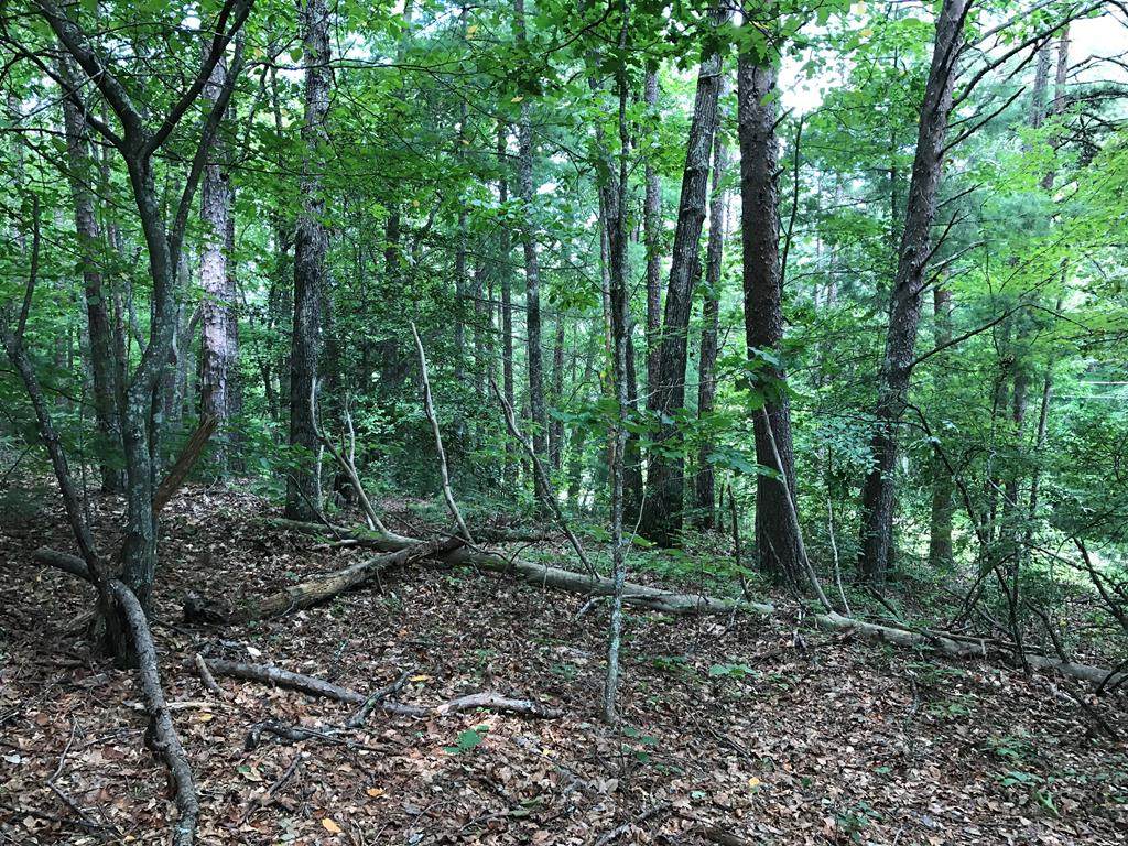 50 Rich Road - Photo 1