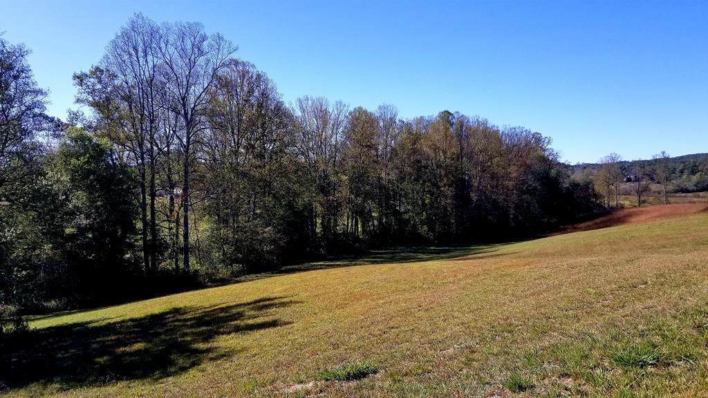 Lot 113 Owen Glen - Photo 1