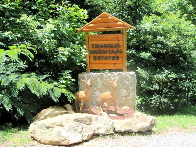 40.30ac Pack Mountain Rd - Photo 1
