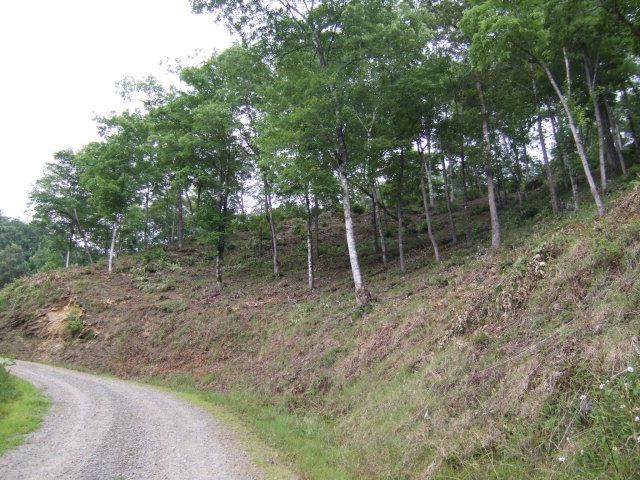 00 Chestnut Flats Road - Photo 1