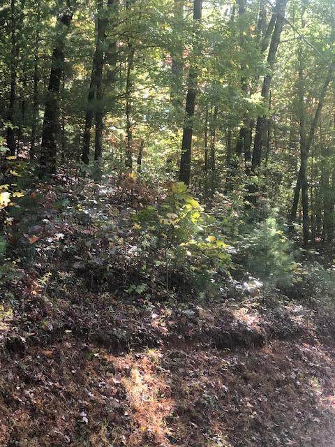 Lot 11 Lakeview Drive - Photo 1