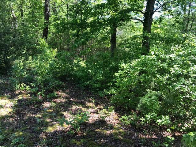 000 Green Cove Road - Photo 1