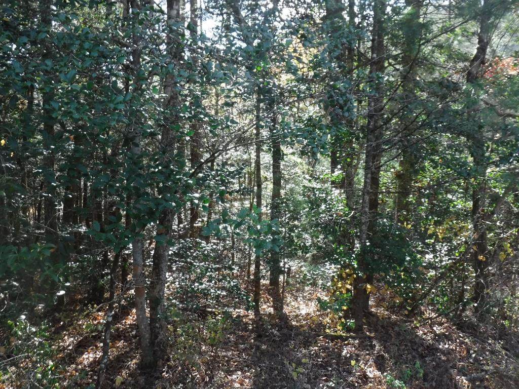 Lot 8 D Hollybrook Drive - Photo 1