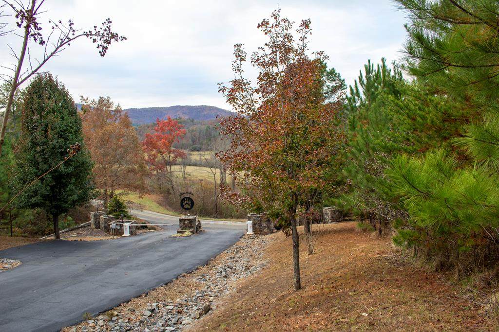 Lot 4 Bear Paw Views - Photo 1
