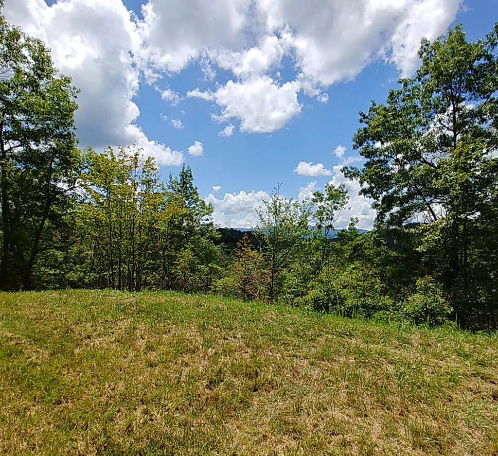 Lot35 Palomar Way - Photo 1