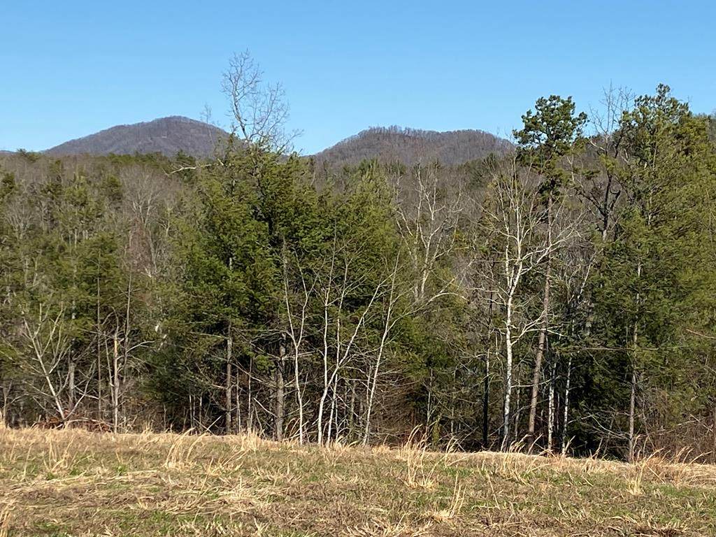 Lot 5 Majestic Mountain Trail - Photo 1