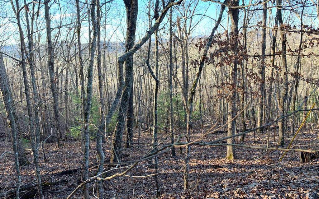 Lot 1 Birchwood Trails - Photo 1