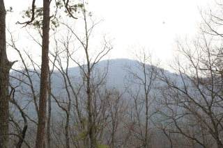 Lot 33 Chimney Top Trail - Photo 1