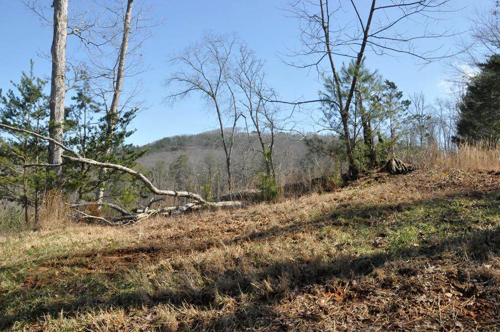 Lot 111 Katherine Road - Photo 1