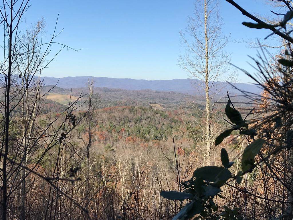 Lot 68 Buck Ridge Dr - Photo 1