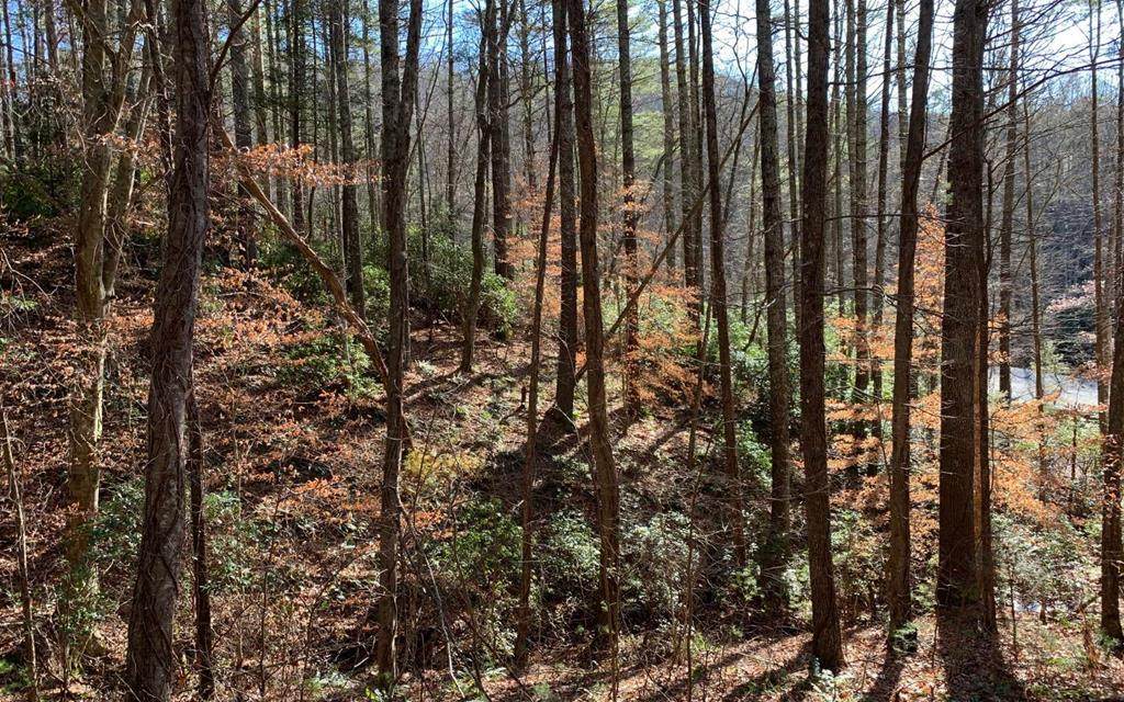 26A Flatrock Gap/Kirksey - Photo 1