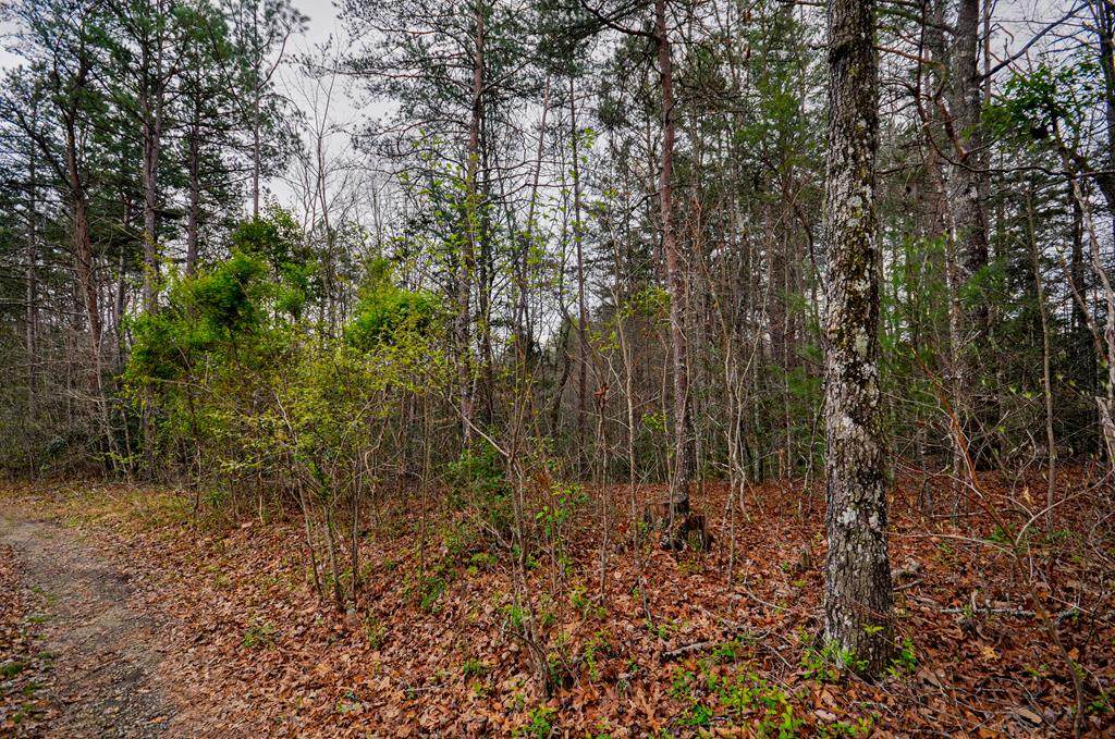 0 Old Johnson Road - Photo 1