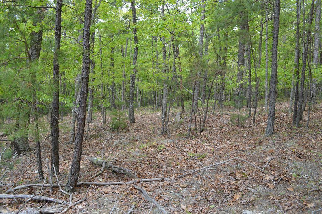 Lot 42 Sharptop Settlement - Photo 1