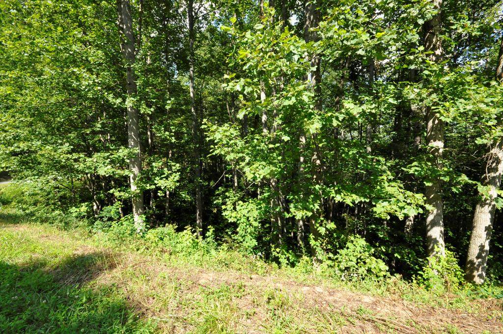 Lot 22 Summer Cove Road - Photo 1