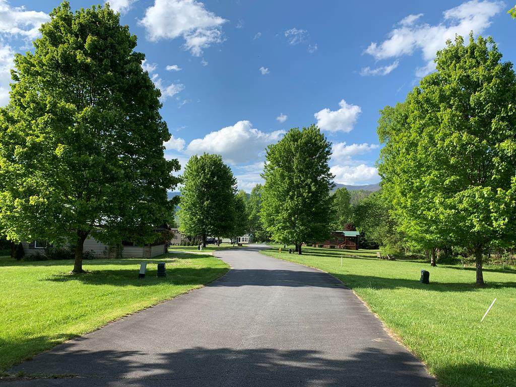 Lot 29 Lazy Bear Trail - Photo 1