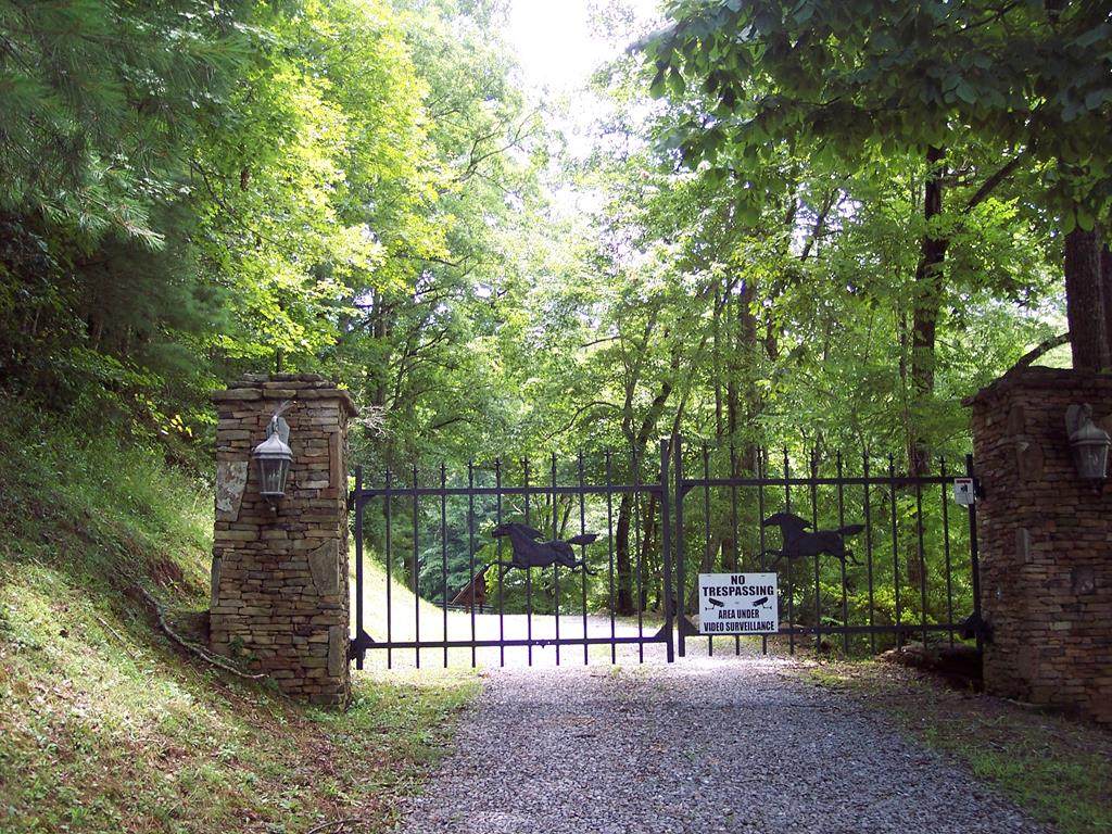 Lot #13 Thoroughbred Trail - Photo 1
