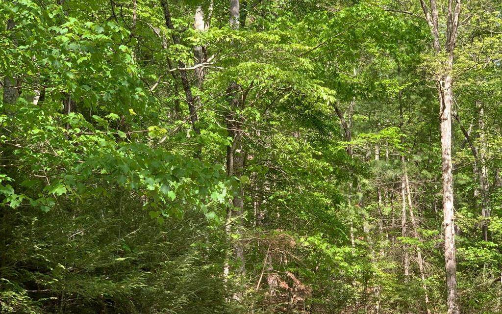 74/75 Eagle Bend - Photo 1