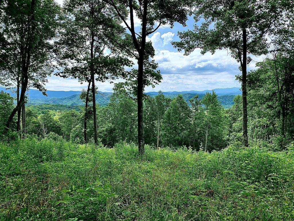00 Fain Peak - Photo 1