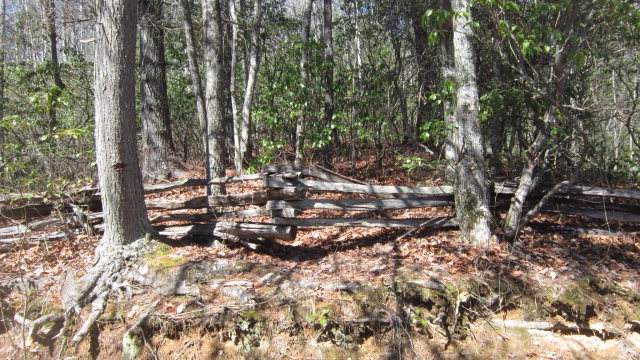 Lot 5 Swan Drive - Photo 1