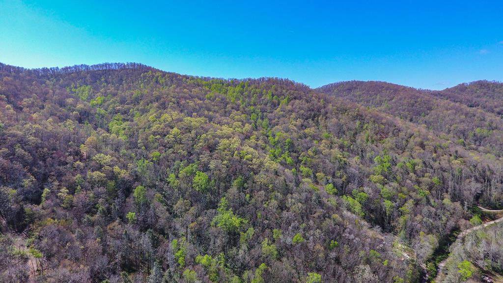 4.17 Porterfield Gap Rd - Photo 1