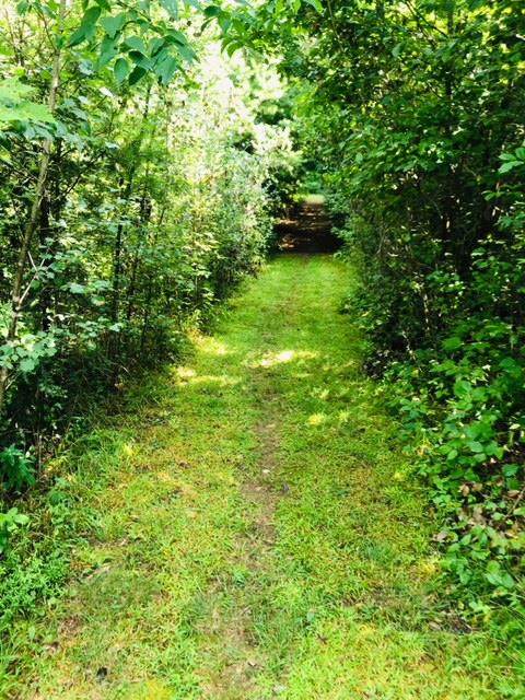 00 Riverview Drive - Photo 1