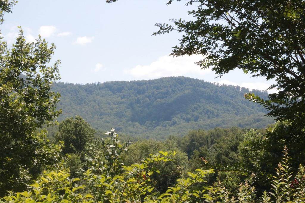 3685 Candy Mountian Road - Photo 1