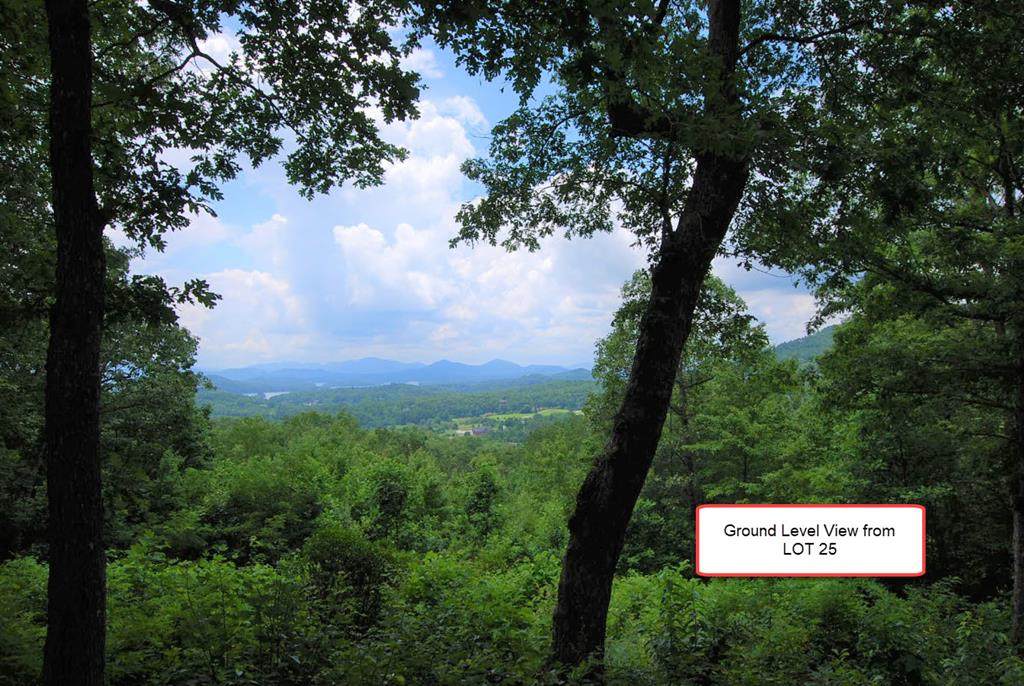 LOT25 Solitude Lane - Photo 1
