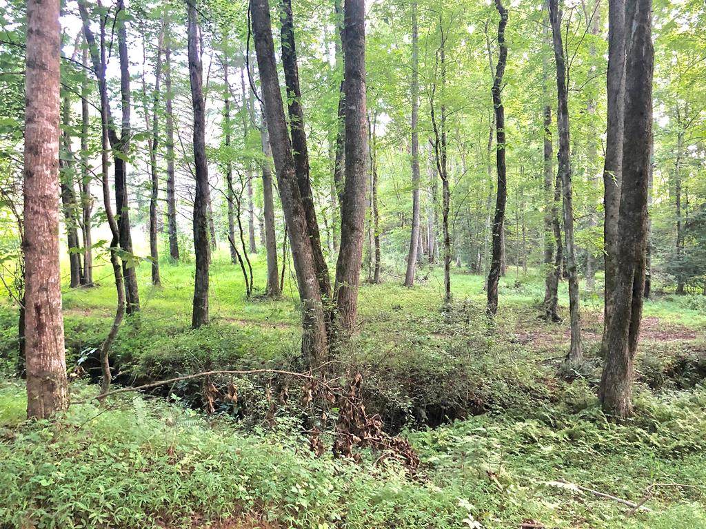 TBD Raymond Rd - Photo 1