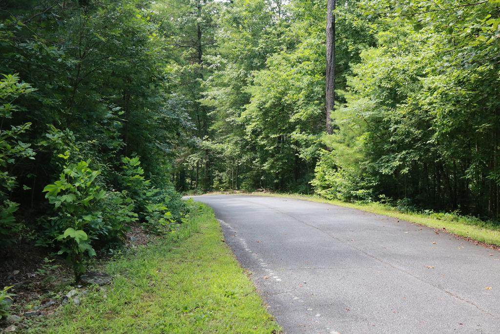 Lot 1 Nelson Ridge - Photo 1