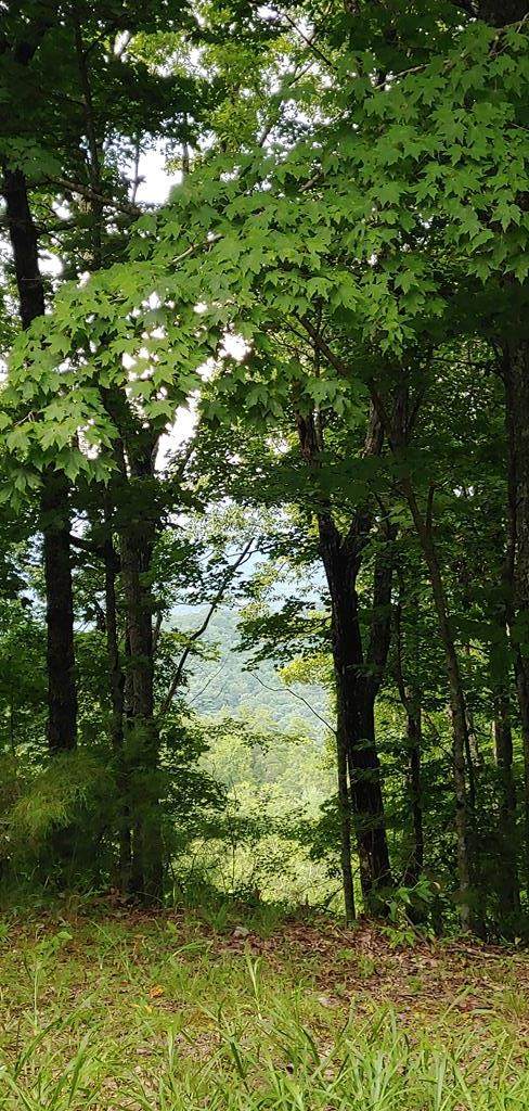 4.27acre Beaver Gap - Photo 1