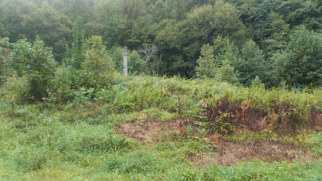 8450 Tallulah Rd - Photo 1