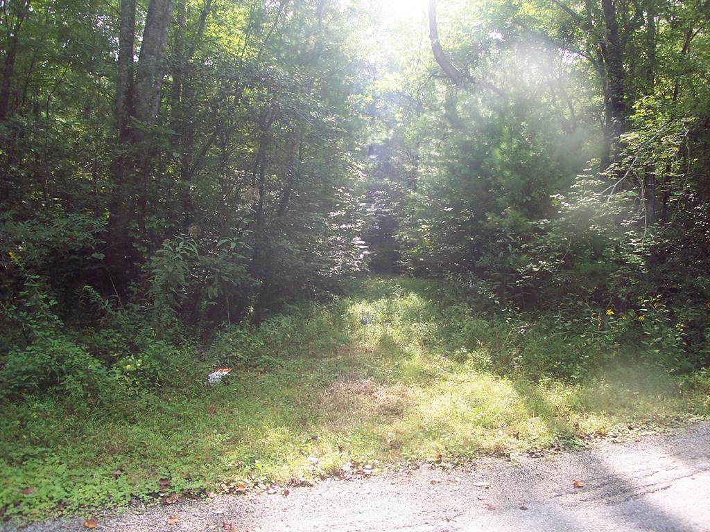 4 Acre Cliff Raper Road - Photo 1