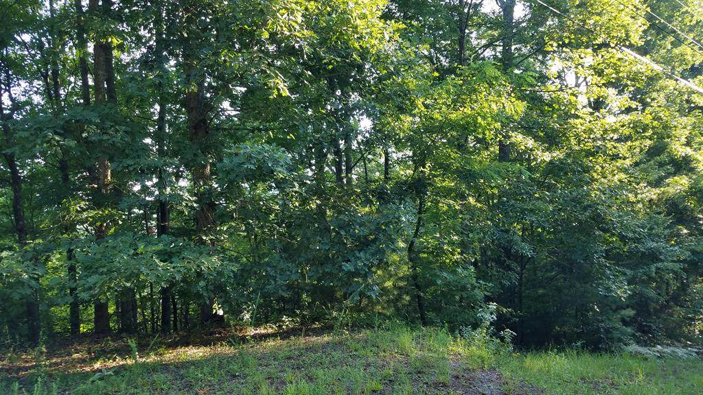19 Landing Dr. - Photo 1