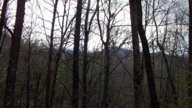 TBD View Ridge Trail - Photo 1