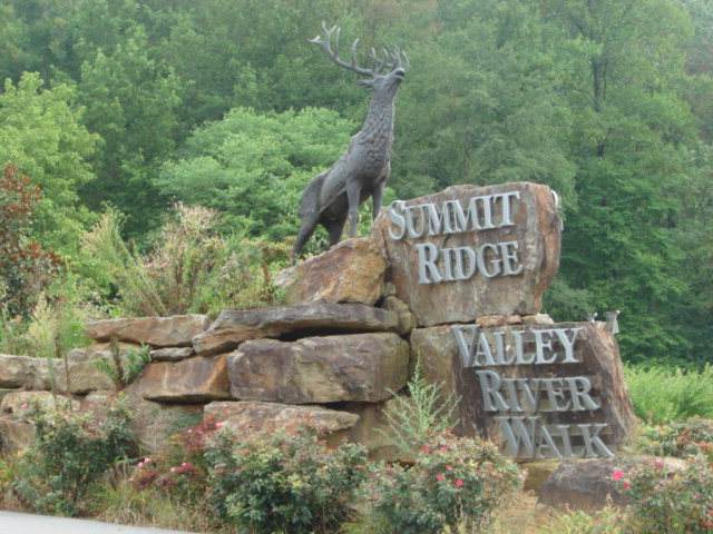 Lot 13 Smokey Mtn Ridge - Photo 1