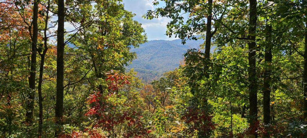 40 Chimney Top - Photo 1