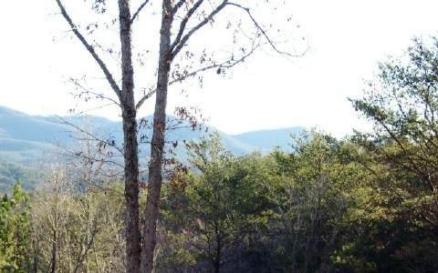 Lot 6 Willow Ridge, Tr 10 - Photo 1