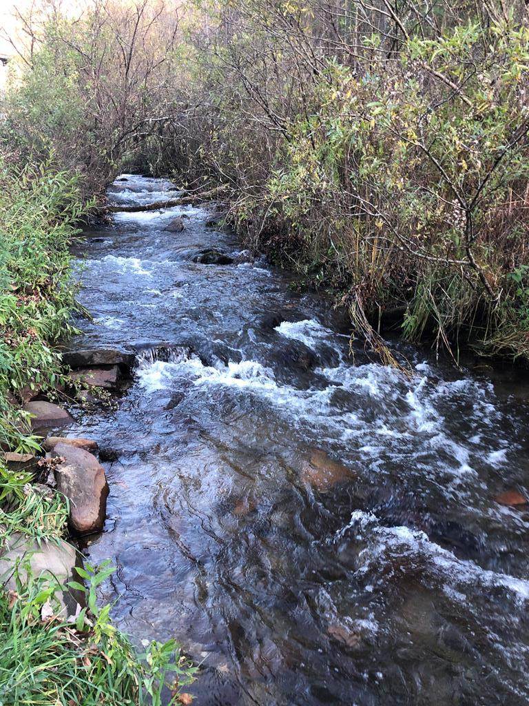 TBD Otter Creek Road - Photo 1