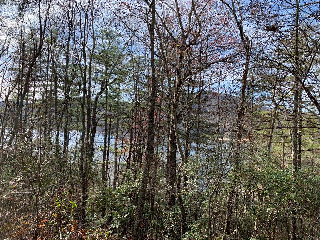 TBD Reflection Drive - Photo 1