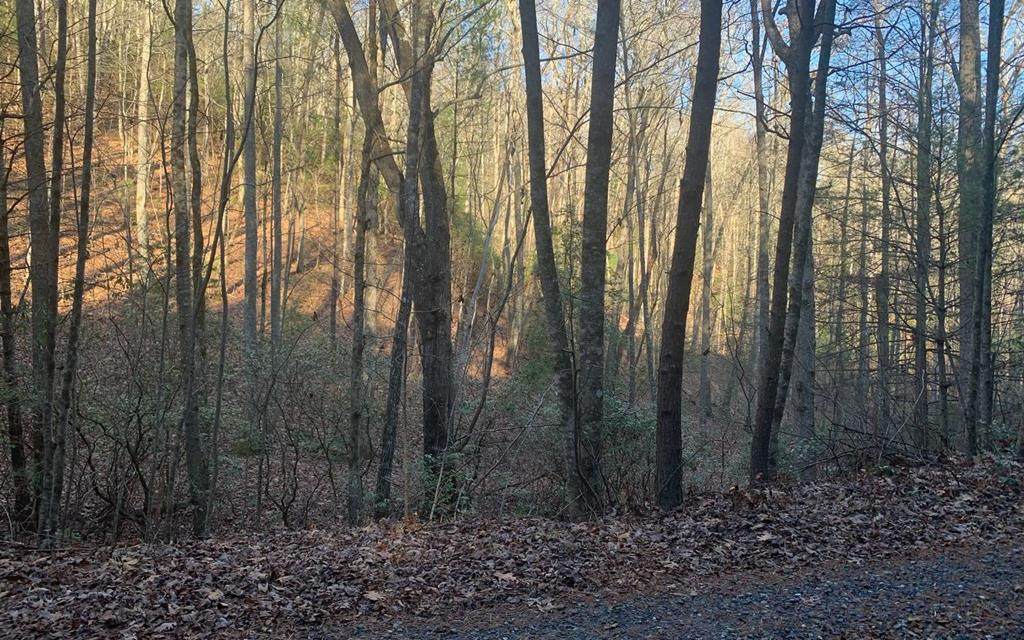 Lot 13 Allison Ridge - Photo 1
