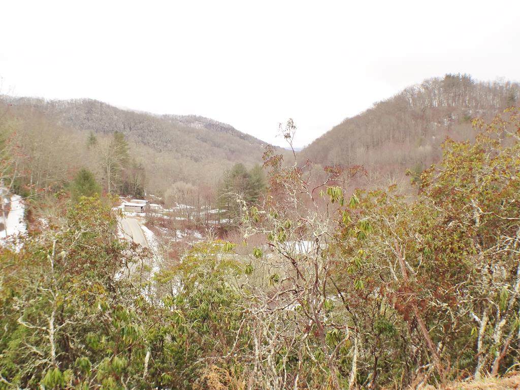 97 Sam Waters Rd - Photo 1