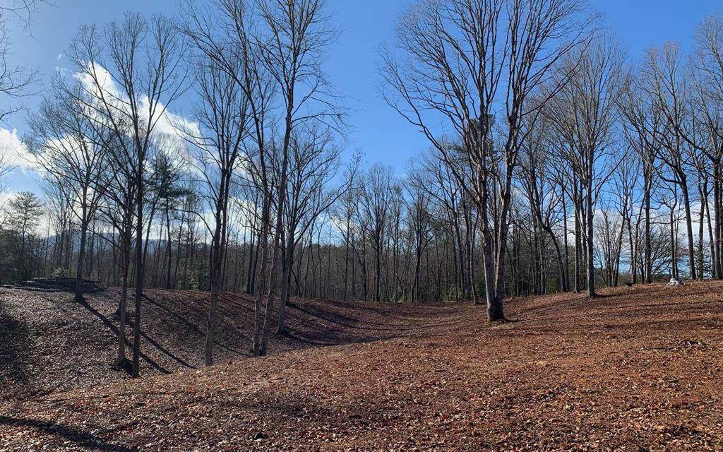 7 Acres Payne Road - Photo 1